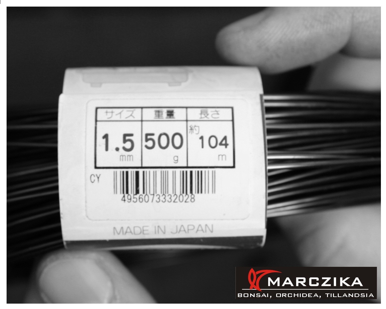 bonsai tál felkészítése, bonsai átültetése, bonsai drót, shohin bonsai, Egy bonsai tál felkészítése a bonsai átültetésére, 1.5 mm - es bonsai dróttal, shohin bonsaihoz.